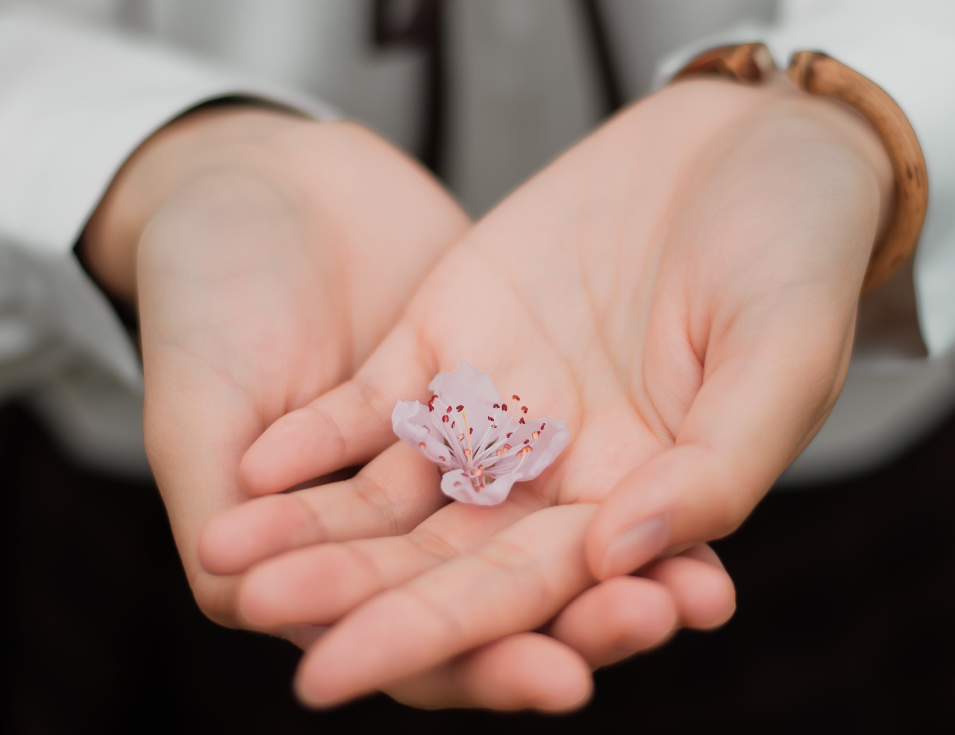 Como Encontrar o Terapeuta Holístico Certo para Você?
